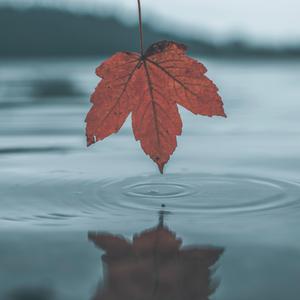 亚洲一级二级三级片
