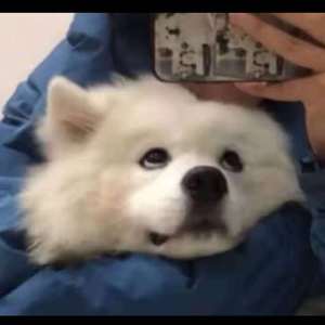 亚洲一级二级三级片
