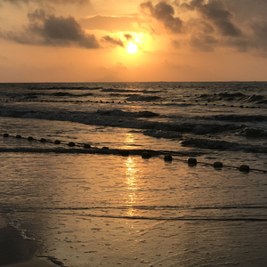 亚洲一级二级三级片
