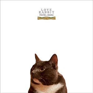 亚洲一级二级三级片
